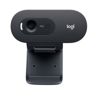 Logitech C505e cámara web